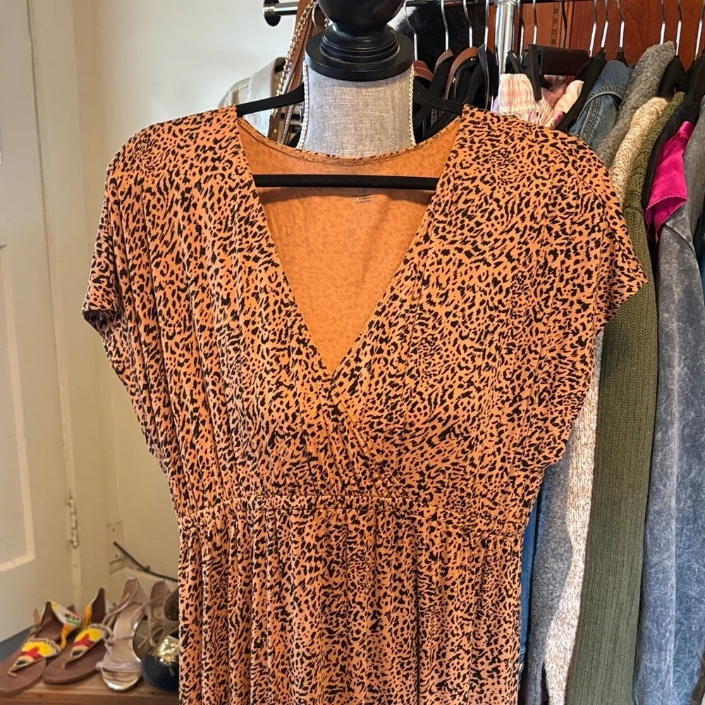 Leopard Print V-Neck Maxi Dress - Picture 2 of 6